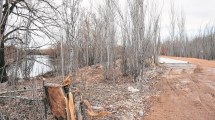 Imagen de El paseo costero ya remonta aguas arriba del río Neuquén desde la confluencia con el Limay