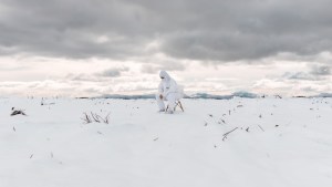 La imagen de Bariloche que ganó el primer premio