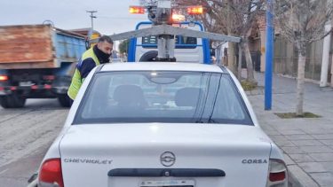 Los procedimientos se realizaron junto a personal policial. Foto gentileza Municipio de Roca