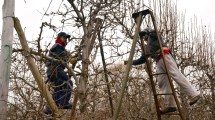 Imagen de Cortarán la Ruta 22: trabajadores rurales reclaman aumento salarial