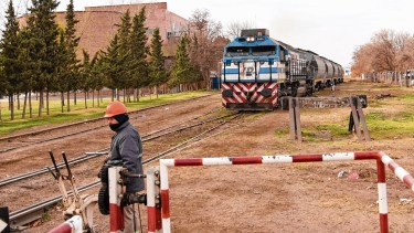 El tren de cargas realiza servicios focalizados y sólo llega hasta Colonia Valentina en Neuquén. (Florencia Salto)