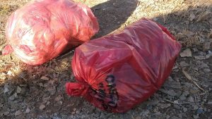 Encontraron bolsas rotas con residuos patológicos en la zona rural de Roca