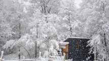 Imagen de Alerta por nieve, en Neuquén y Río Negro: los peores horarios este miércoles