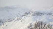 Imagen de Mirá las fotos de la nevada en San Martín de los Andes