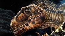 Imagen de Por qué el nuevo dinosaurio hallado en Neuquén llamó la atención a nivel mundial