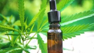 Anmat prohibió la venta de un aceite de cannabis de El Bolsón