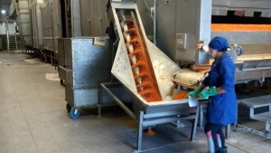 Una cooperativa mendocina cuenta su experiencia y presenta sus productos en Centenario