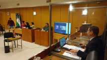 Imagen de Debaten la pena por «maltrato animal» para el joven que mató al perro Byron en Roca