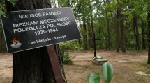 Imagen de Encontraron las cenizas de 8.000 víctimas del terror nazi en Polonia