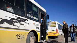 Neuquén adjudicó el nuevo sistema de transporte público, cuáles son las empresas que prestarán el servicio