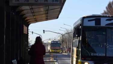 Muchas consultas, pero no hay compra de pliegos en transporte (foto Matías Subat)