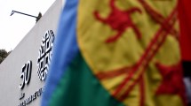 Imagen de Rechazan la iniciativa para sacar la bandera mapuche de los edificios públicos: es «racista» e «ignorante»