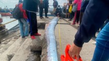 Imagen de Tras la captura del pez remo, aseguran que se registraron sismos en Chile