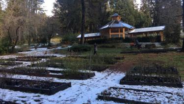 El Parque Nacional Nahuel Huapi posee un vivero en la Isla Victoria donde se cultivan especies nativas. (foto gentileza)