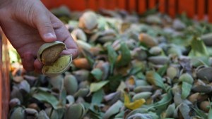 Asesoran a emprendedores de la zona rural de Cipolletti