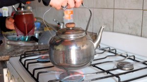 Formulario RASE para subsidio de luz y gas: ¿Cuándo se habilita y cómo descargarlo?