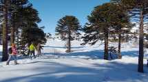 Imagen de Fin de largo en Caviahue: las excursiones que no te podés perder en el pueblo de nieve más lindo