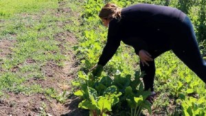 Convocan a familias de Cipolletti para participar del programa de huertas comunitarias