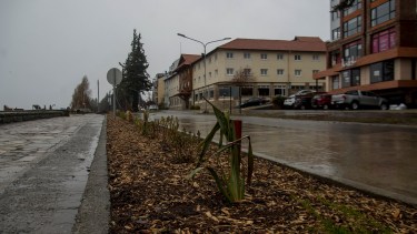 Personal de Parques y Jardines comenzó a mejorar y plantar el cantero junto a la costanera céntrica de Bariloche. Foto: Marcelo Martinez