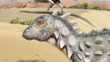 El dinosaurio encontrado recibió el nombre Jakapil kaniukura. Estaba cerca de la localidad de Cerro Policía, en Río Negro (Crédito: Mauricio Alvarez)