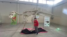 Imagen de Niños de Los Menucos disfrutan de “dinosaurios y otras bestias prehistóricas”