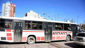 Todo sobre los nuevos colectivos en Neuquén: desde cuándo funcionarán, las nuevas líneas y la app de horarios