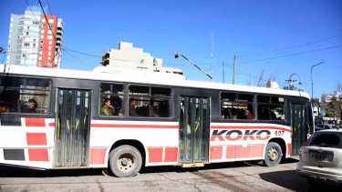Expreso Tigre Iguazú SA y Koko SRL fueron las dos firmas adjudicatarias del servicio de colectivos en Neuquén. (Foto archivo Juan Thomes).-