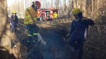 Imagen de Aumentan los incendios por quemas de pastizales en Vista Alegre