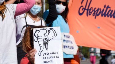 Los autoconvocados de salud identificados como “elefantes”. Fue uno de los conflictos más extensos de la gestión Gutiérrez. Foto archivo.