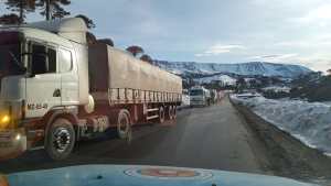 Ya cruzaron por Pino Hachado la mitad de los camiones que estaban varados en Las Lajas