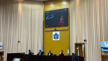 El video salió antes de lo previsto e interrumpió la marcha de la sesión por un momento. Foto: gentileza.