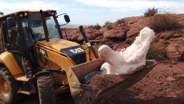 Un gigante herbívoro de más de 90 millones de años resurgió en Rincón