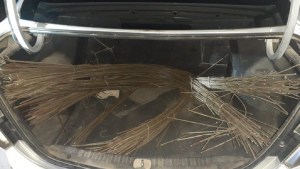 Detienen a dos personas por robar alambrados en Patagones