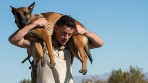 Cuatro propuestas para disfrutar en tu TV