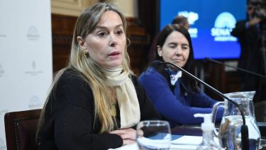 La senadora Juliana Di Tullio apuntó contra la AFI. Foto archivo