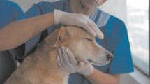 Imagen de Bienestar Animal está haciendo un relevamiento en el barrio Aeroclub de Roca