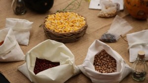 Vista Alegre promueve la agroecología e invita a una feria de semillas