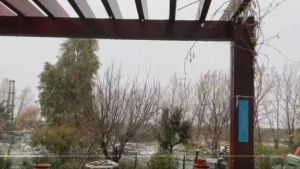 Nieve en Puerto Madryn: así caen los copos en el Parque Ecológico Área El Doradillo