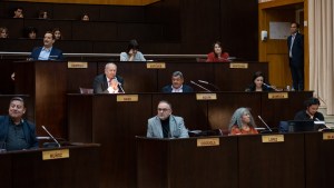 Quiénes tendrán las nuevas licencias familiares en Neuquén