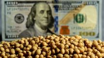 Imagen de Gracias al dólar soja el Banco Central compró US$ 239 millones