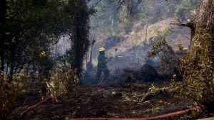 Brigadistas de Parques Nacionales harán un paro de cuatro días: qué reclaman