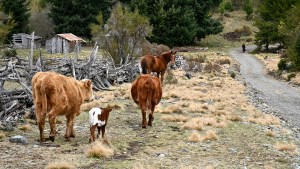 Tacuifí, el largo y sinuoso camino que no llegará a lago Escondido