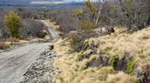 Imagen de Río Negro insiste con un tercer camino al lago Escondido, que la Justicia ya rechazó