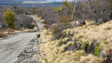 RÍO NEGRO meses atrás recorrió el camino Tacuifí que conduce al lago Escondido desde la zona de El Foyel. Archivo/ Chino Leiva