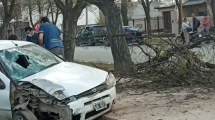 Imagen de Se desvaneció mientras manejaba y terminó arriba de una plaza en Regina