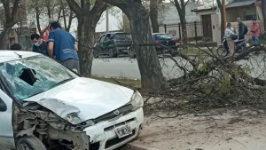 Se desvaneció mientras manejaba y terminó arriba de una plaza en Regina