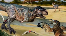 Imagen de Descubren en Patagonia Norte un nuevo dinosaurio carnívoro que habitó hace 90 millones de años