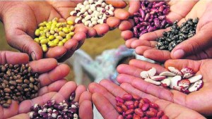 Intercambiar saberes entre todos, la propuesta del Club de Jardinería Maipué