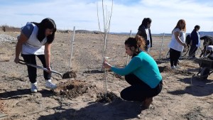 Estudiantes y abuelos se suman para seguir combatiendo la desertificación en la Región Sur