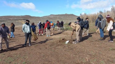 Alumnos y docentes participaron de la plantación. Foto: José Mellado